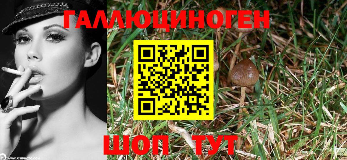 Галлюциногенные грибы Magic Shrooms Новоуральск