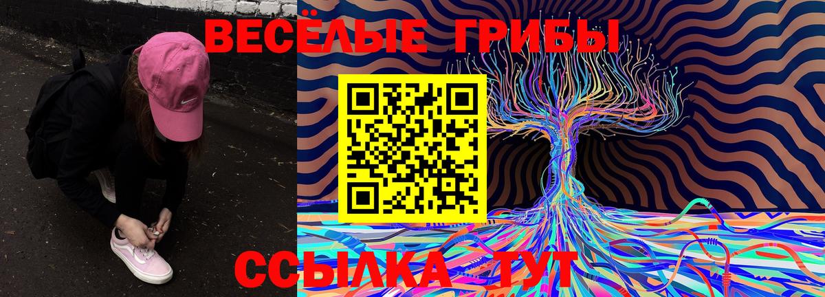 Новоуральск  Галлюциногенные грибы Cubensis  Галлюциногенные грибы Psilocybe  Вход с VPN 